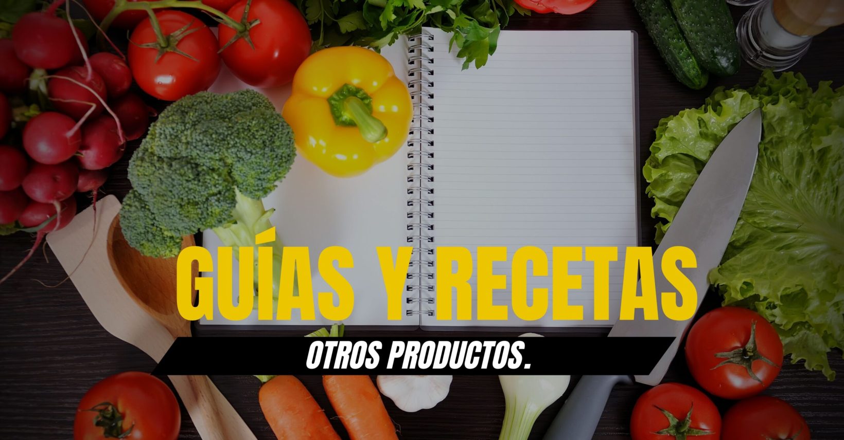 Guías (Web de Productos) – WordPress Guías (Web de Productos) - WordPress